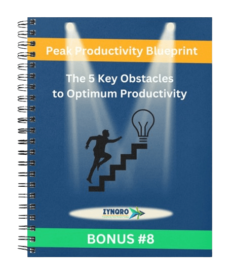 Peak Productivity Blueprint Bonus #8